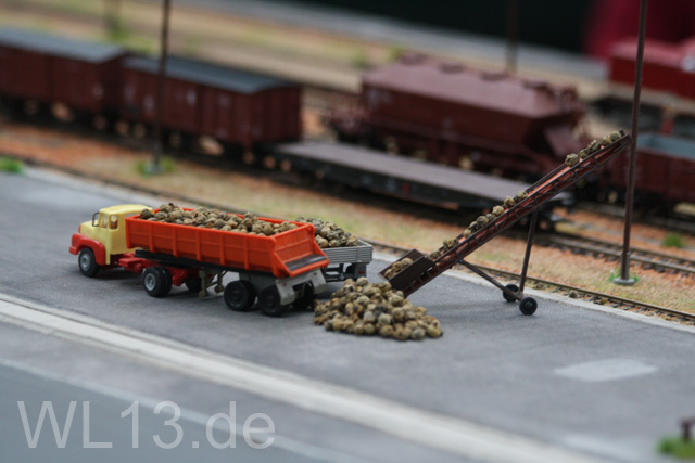 IMG_7535