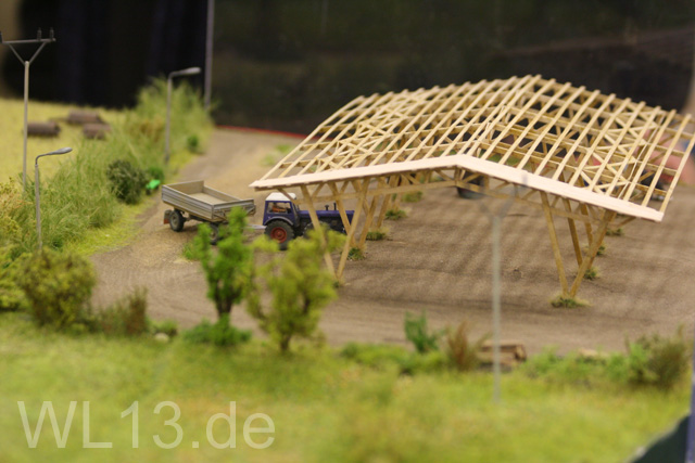 IMG_6981