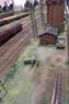 SAM_5151