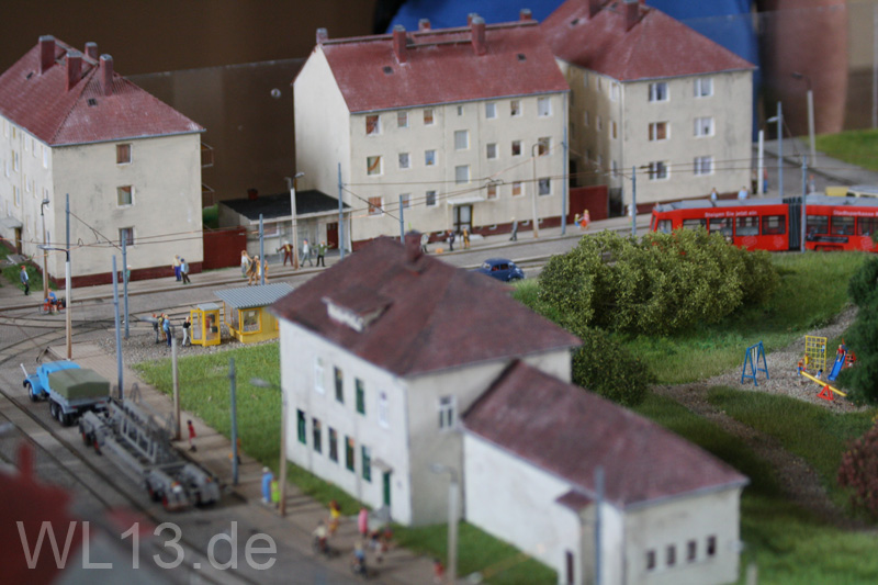 IMG_6460