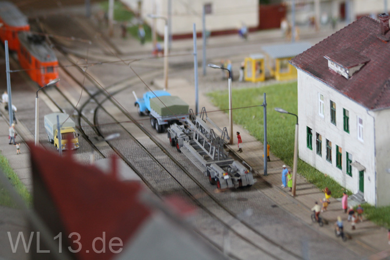 IMG_6459